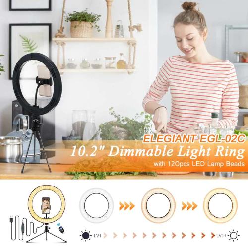 10" Table Top Selfie LED Lamp