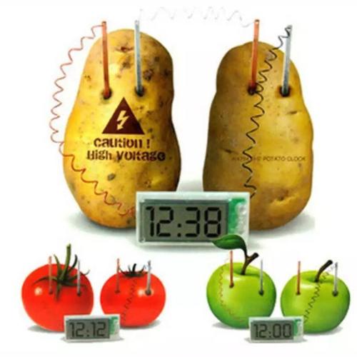 DIY Green Science Potato Digital Clock Kit - Educational STEM Project for Kids