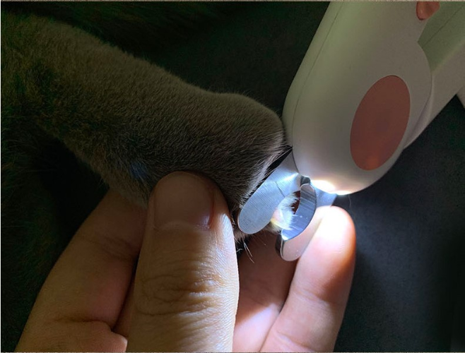 Pet LED Nail Clippers – Stainless Steel with Safety Features for Cats and Puppies